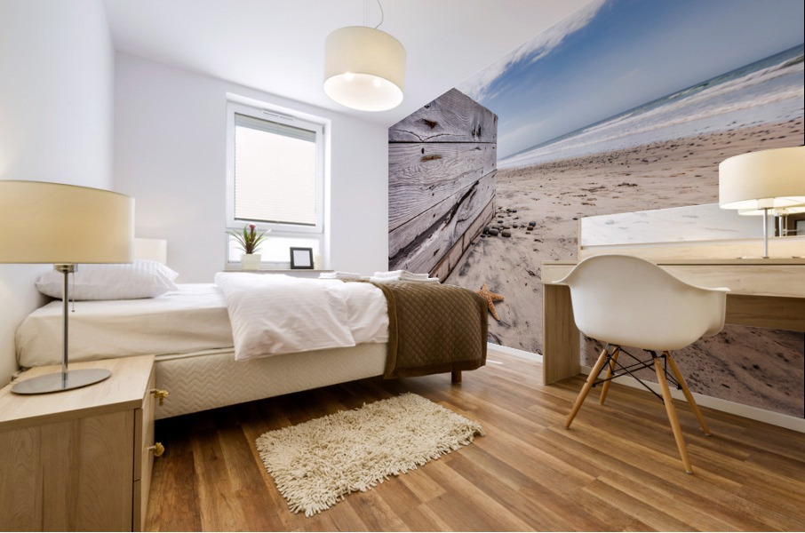 Leucadia beach Mural print