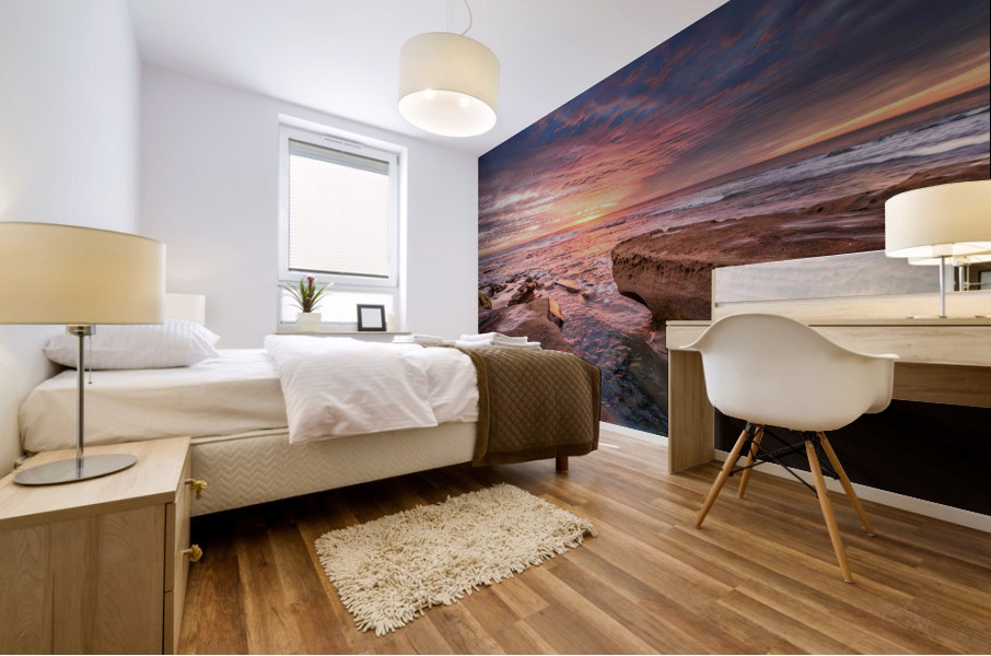 La Jolla reef 6 Mural print