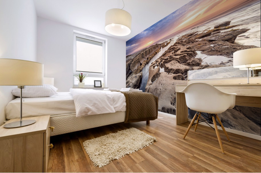 La Jolla reef 2 Mural print