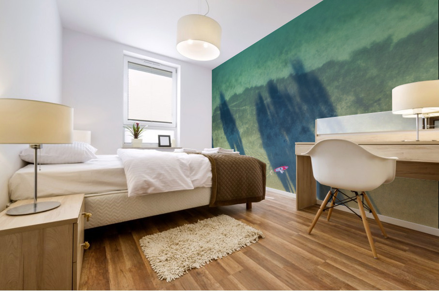 palm tree shadows Mural print