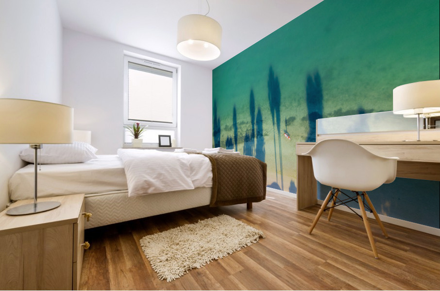 palm tree shadows Mural print