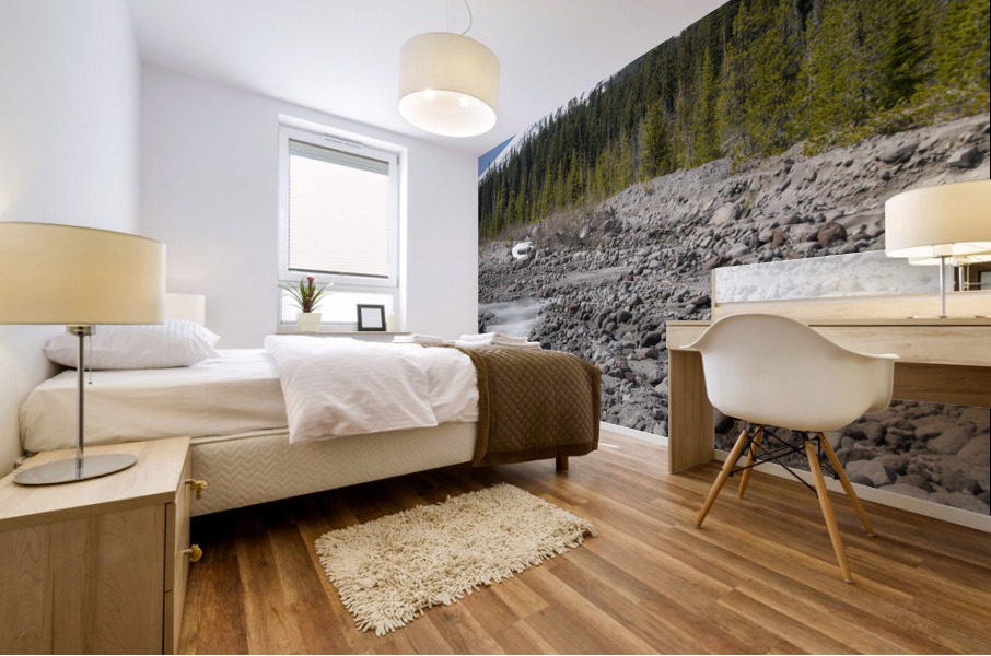 Mount Hood Mural print