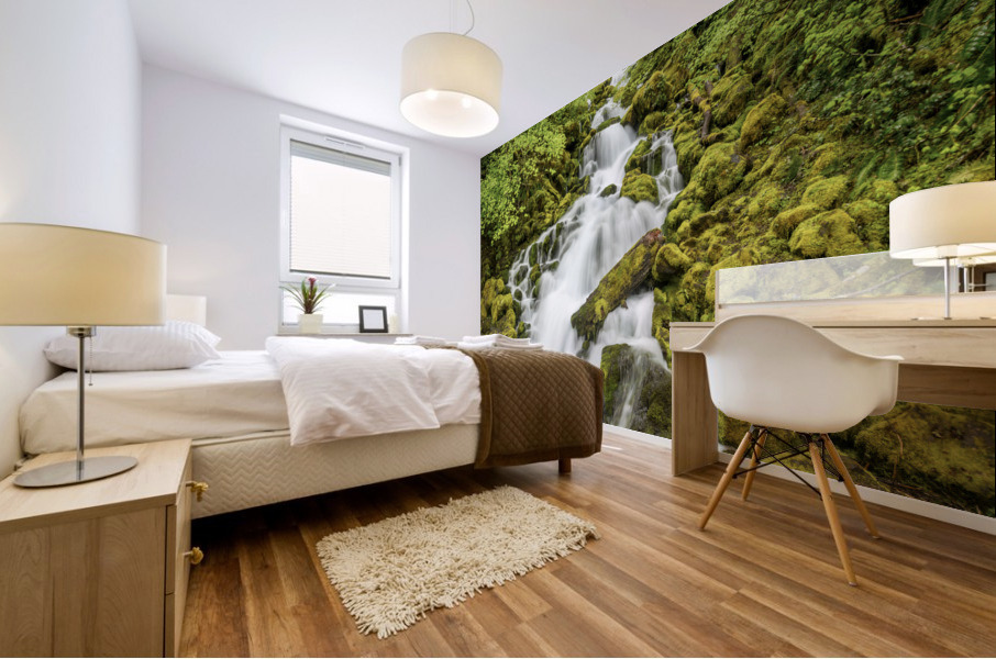 Waterfall Wa Mural print