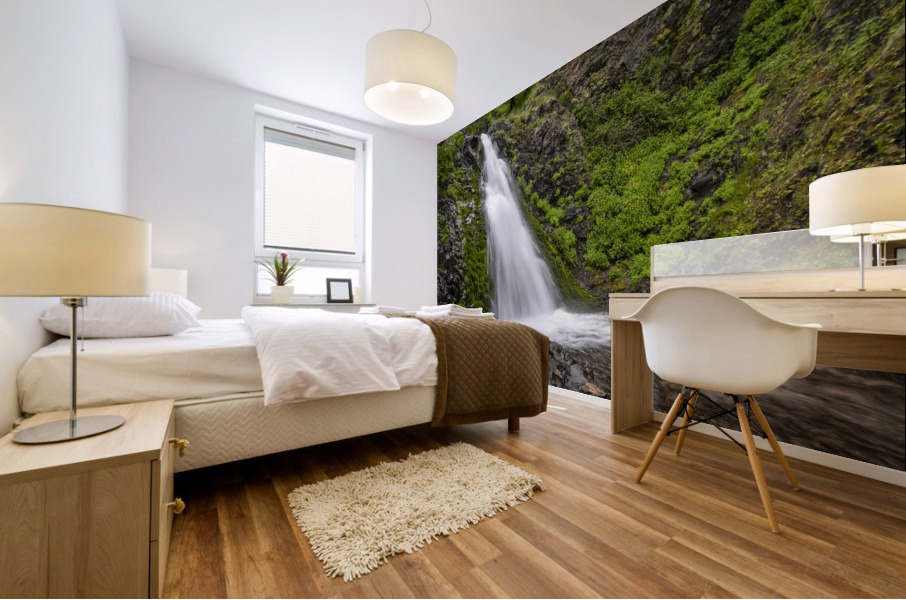 Dog Creek Falls Mural print