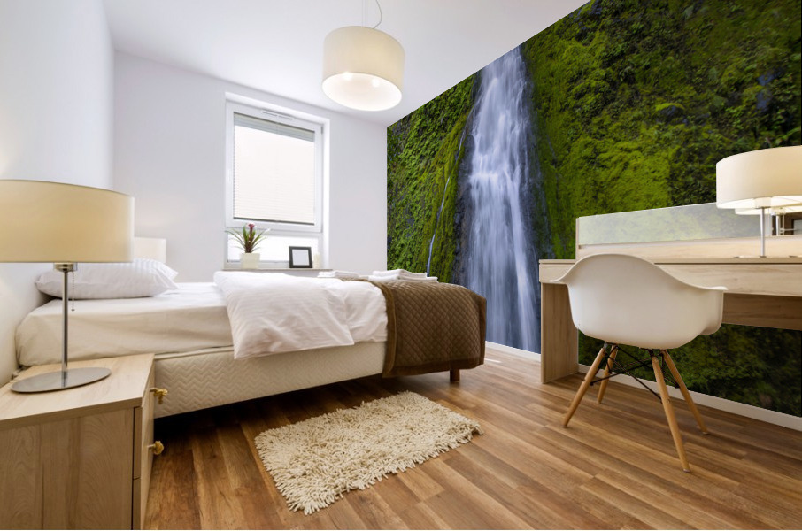 Starvation Creek Falls Mural print