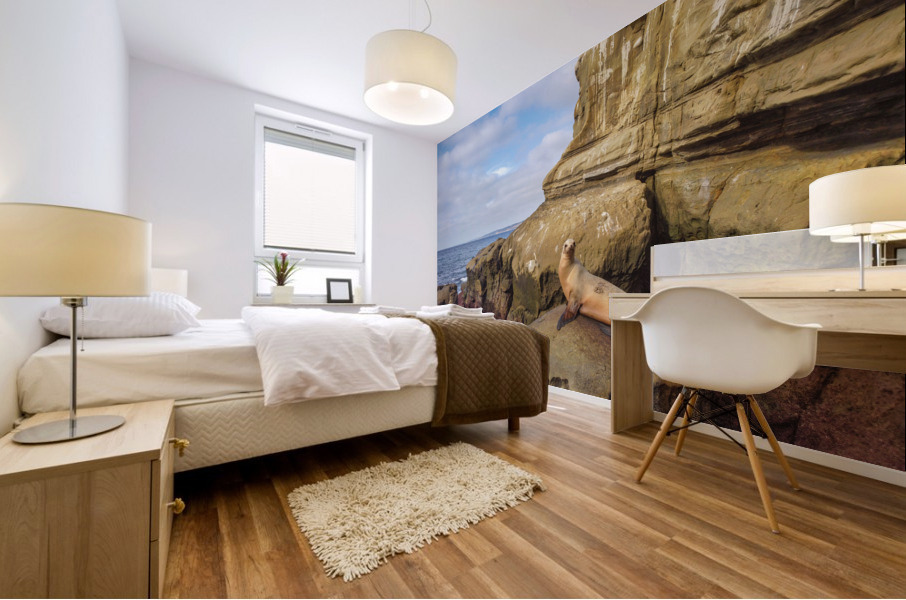 Seal sunbathing Mural print