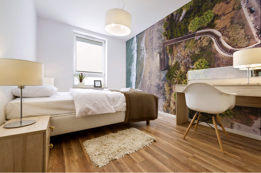 Swamis Mural print
