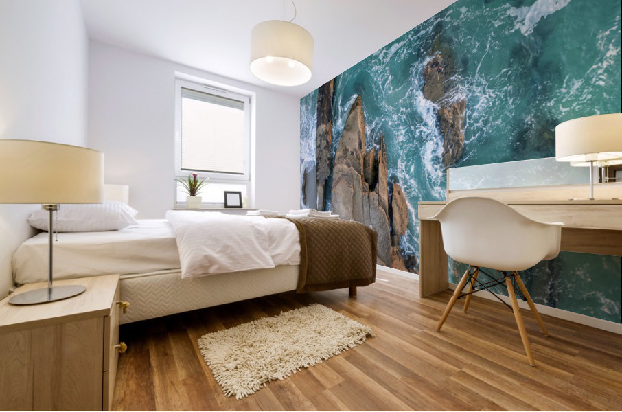 La Jolla Neptune Mural print