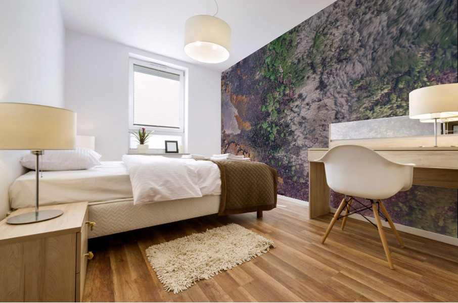 swamis reef Mural print