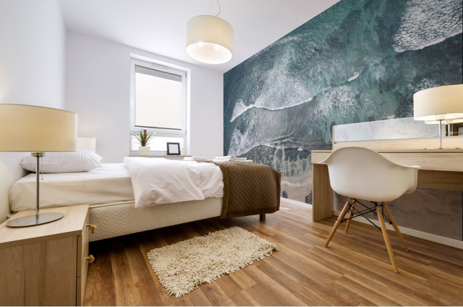 swamis reef Mural print