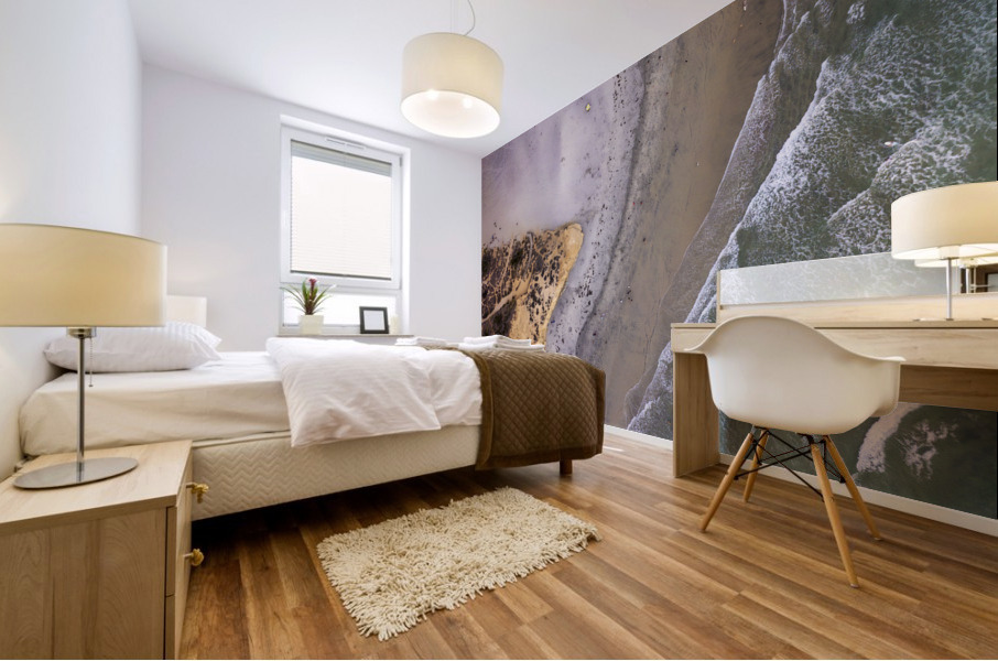 Dogs beach Mural print