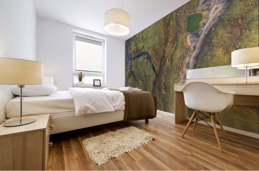 Path on the lagoon Mural print