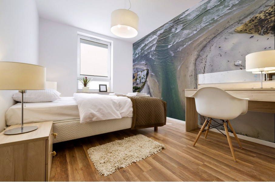 dogs beach Mural print