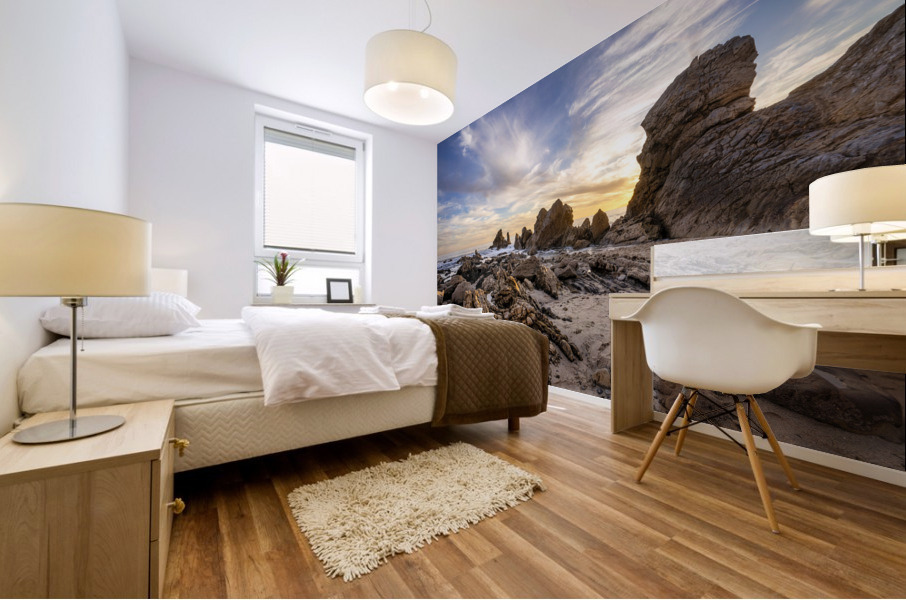 Corona del mar Mural print