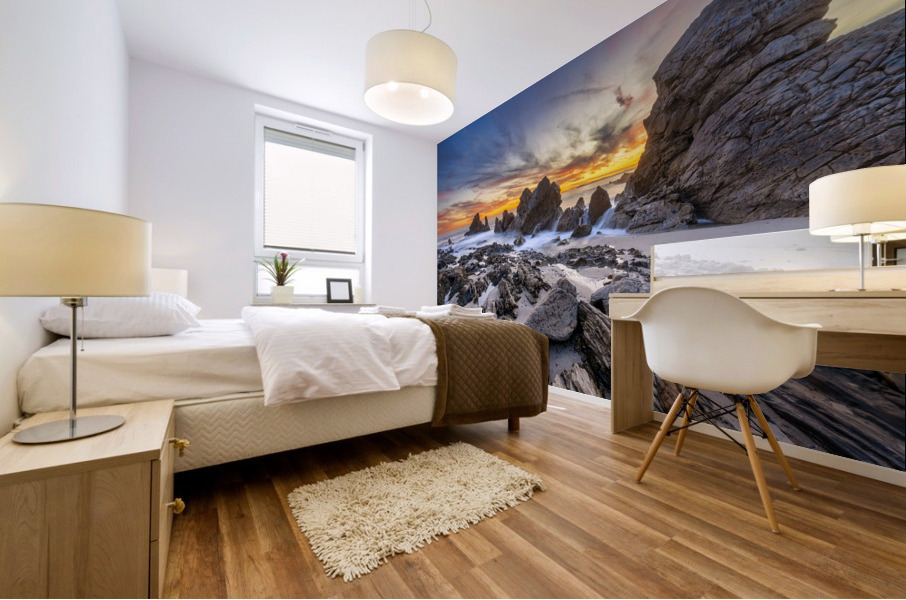 Corona del mar Mural print