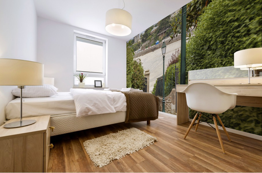 The beach path Mural print
