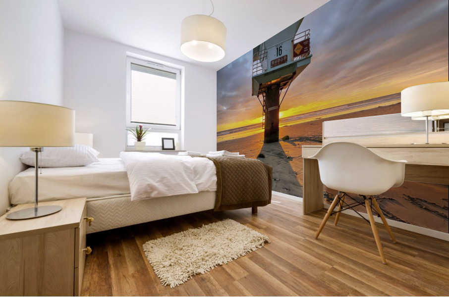 cardiff 16 Mural print