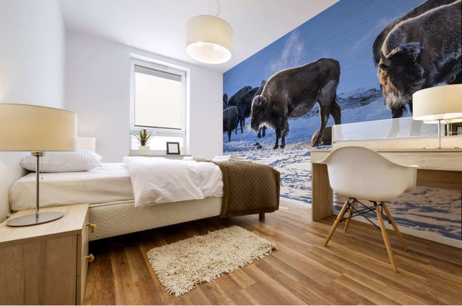 Zion bisons Mural print
