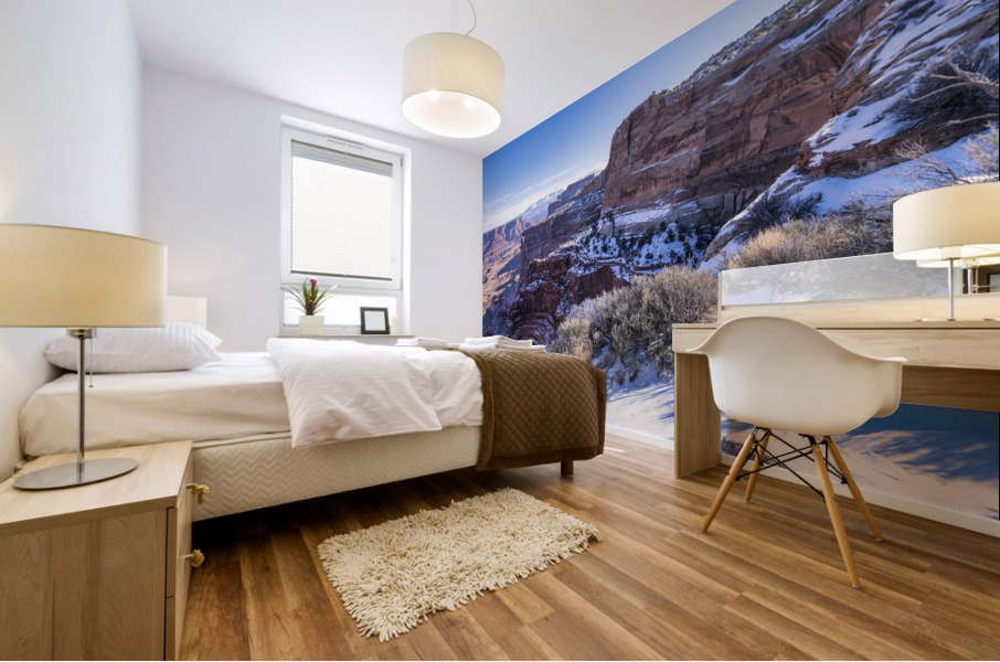 Canyonland Mural print