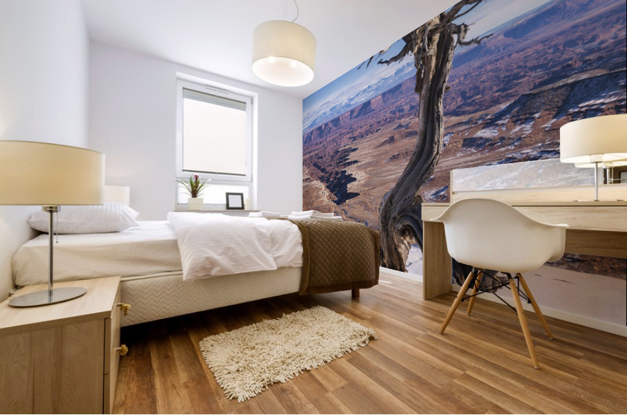 winter in canyonland Mural print