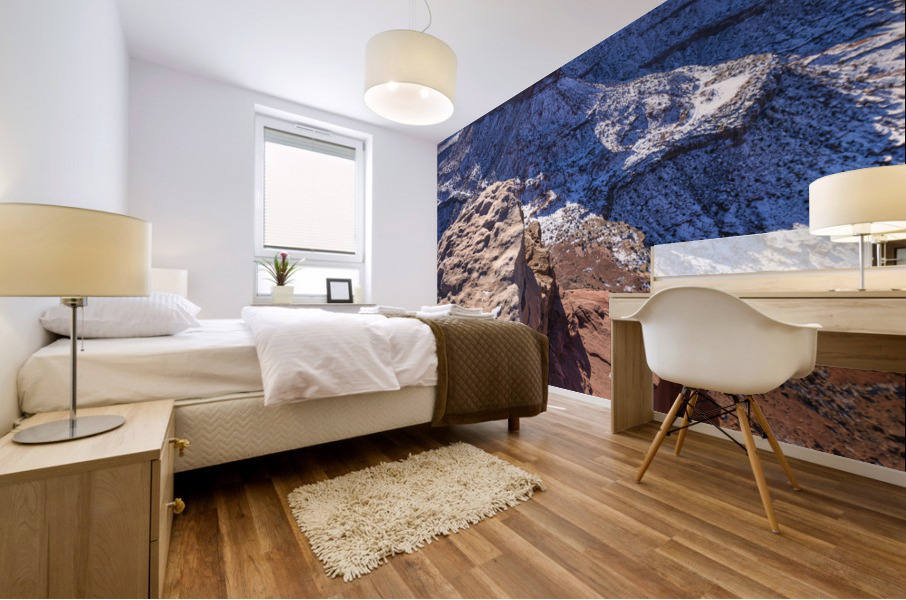 Grand view point Mural print