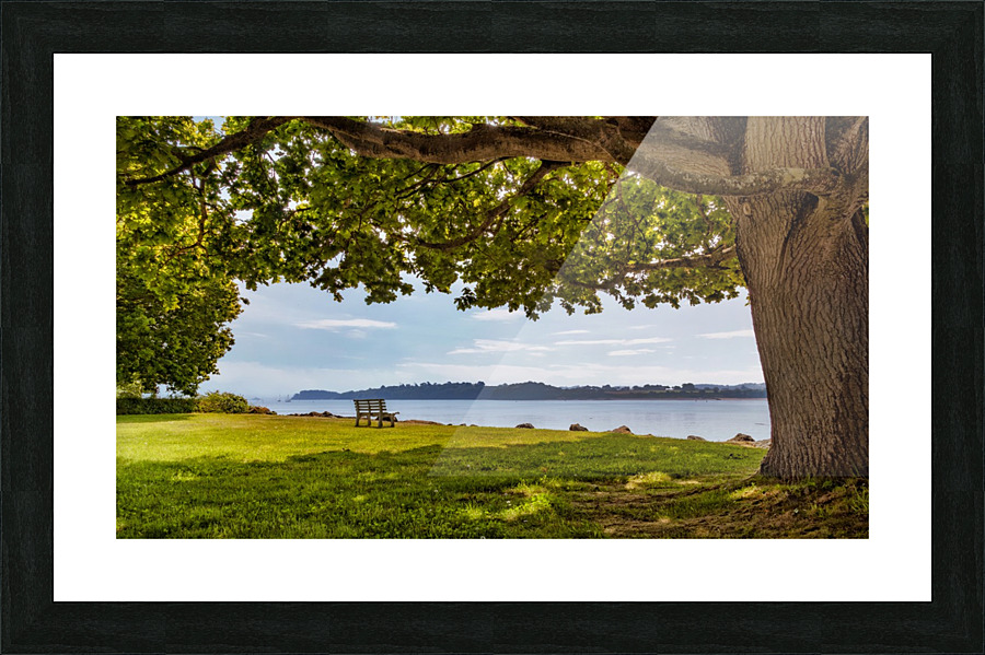 Under the old oak tree Picture Frame print
