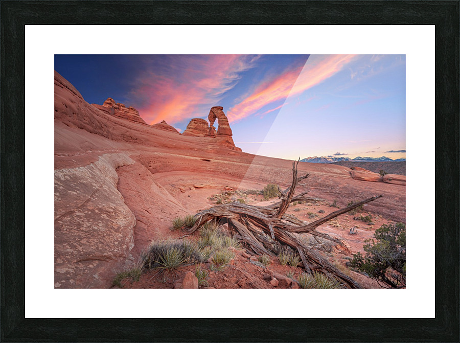 Delicate arch Picture Frame print