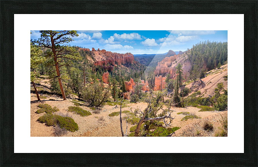 Spring in Bryce Canyon Picture Frame print