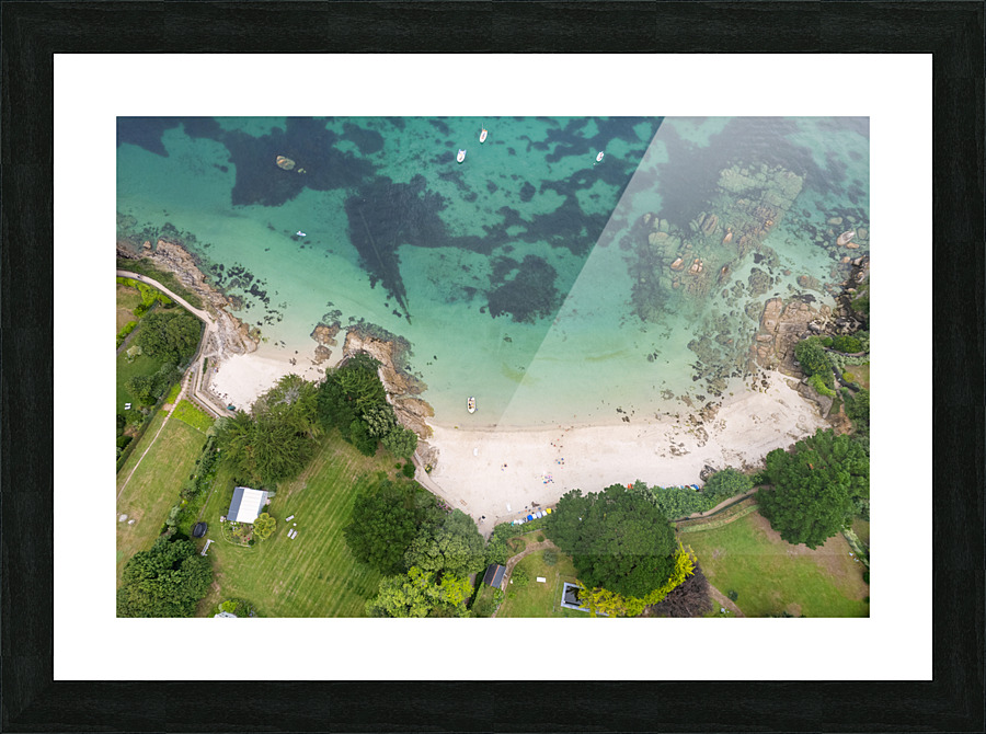 plage des oiseaux 3 Picture Frame print