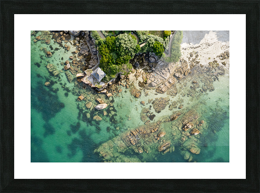 plage des oiseaux Picture Frame print