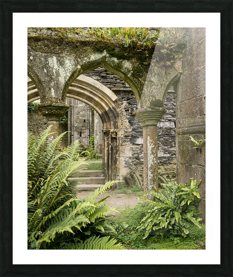 Beauport abbaye Picture Frame print
