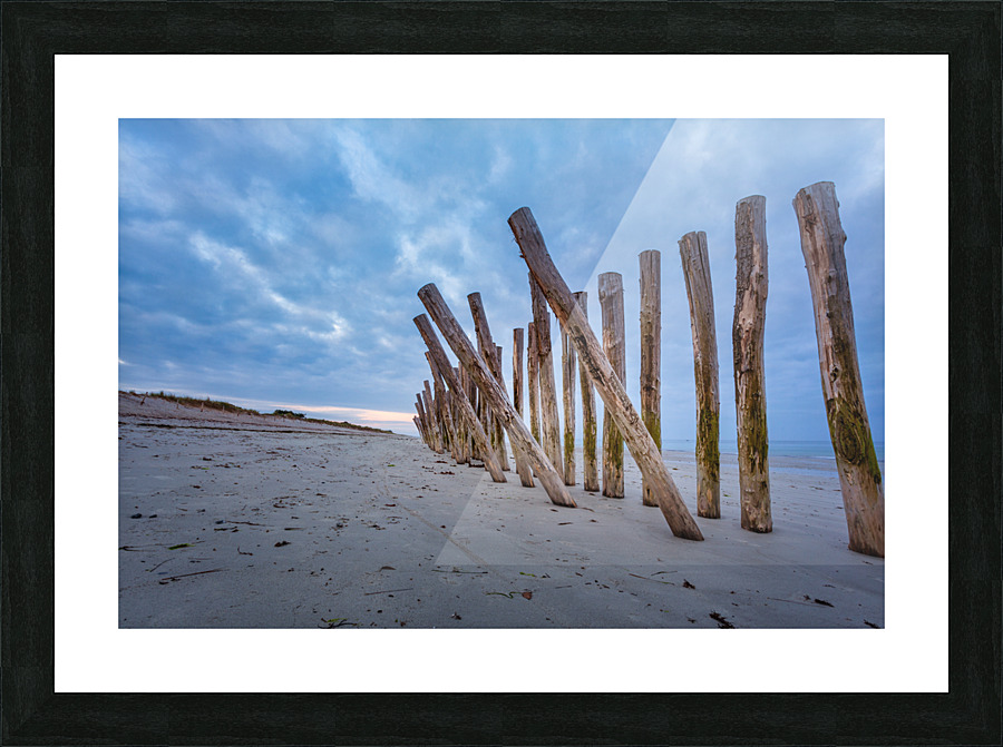 Cleut Rouz Picture Frame print