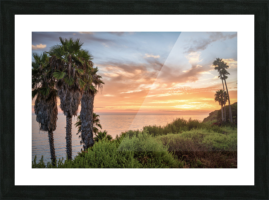 swami s2 Picture Frame print