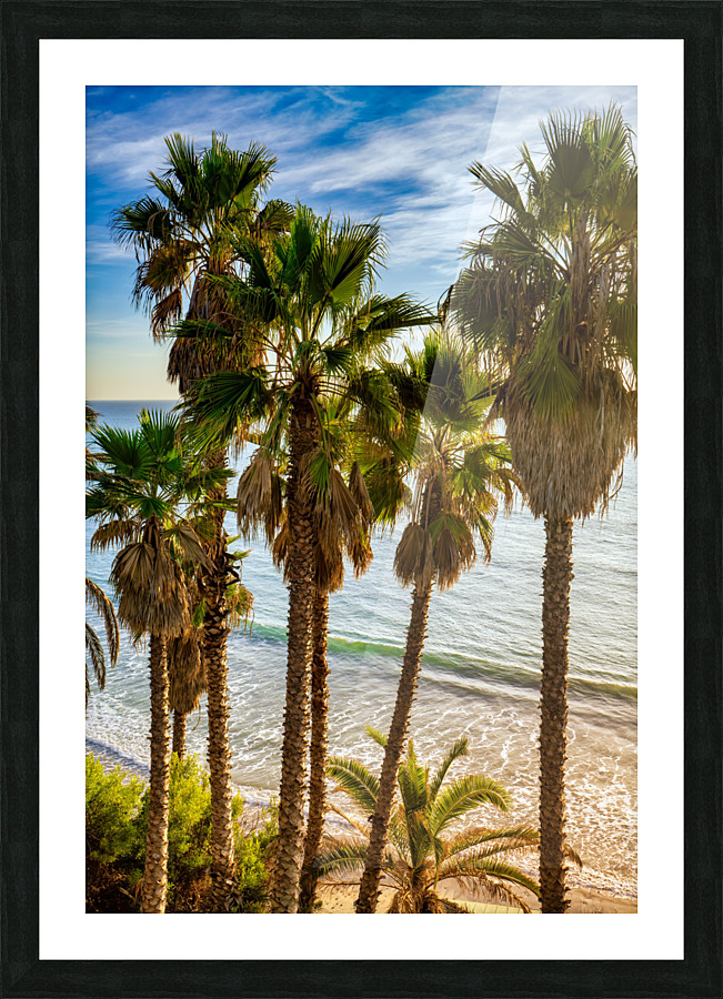 Palmtrees at Swamis Picture Frame print