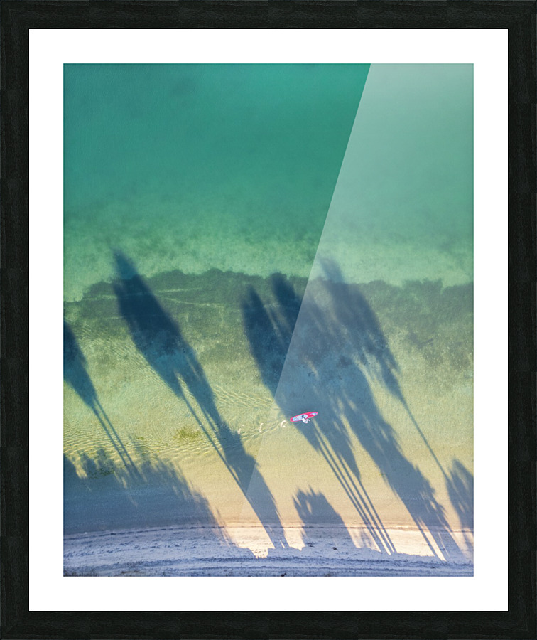 palm tree shadows Picture Frame print