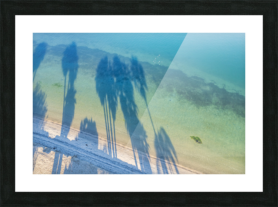 palm tree shadows Picture Frame print