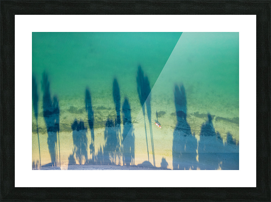 palm tree shadows Picture Frame print