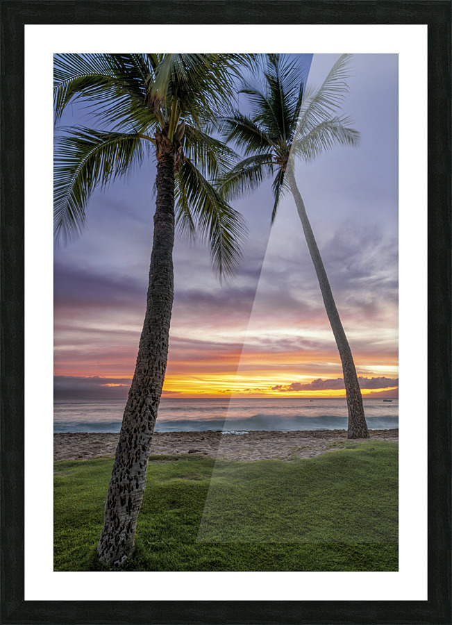sunset coconut  Picture Frame print