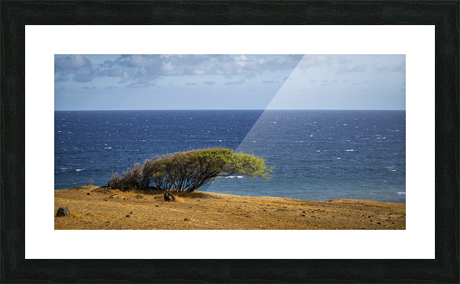 kaupo Picture Frame print