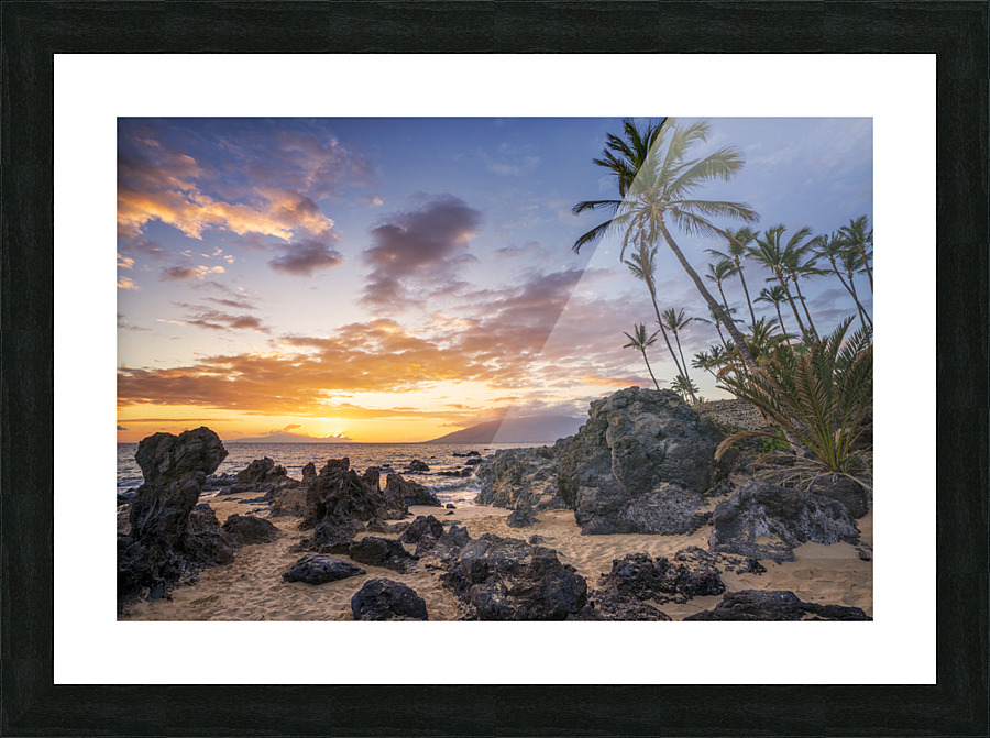 Charley young beach Picture Frame print