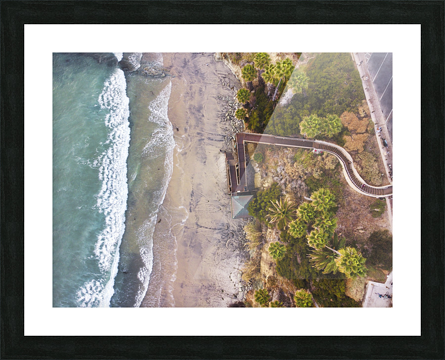 Swamis Picture Frame print