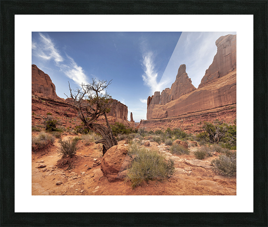 5th avenue Picture Frame print