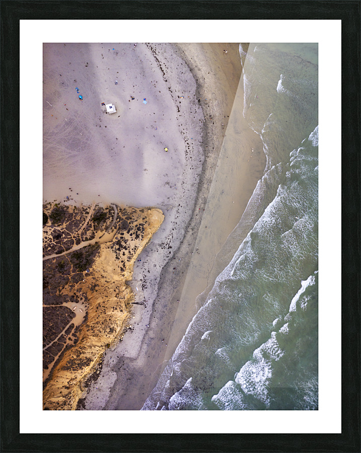 Dogs beach Picture Frame print