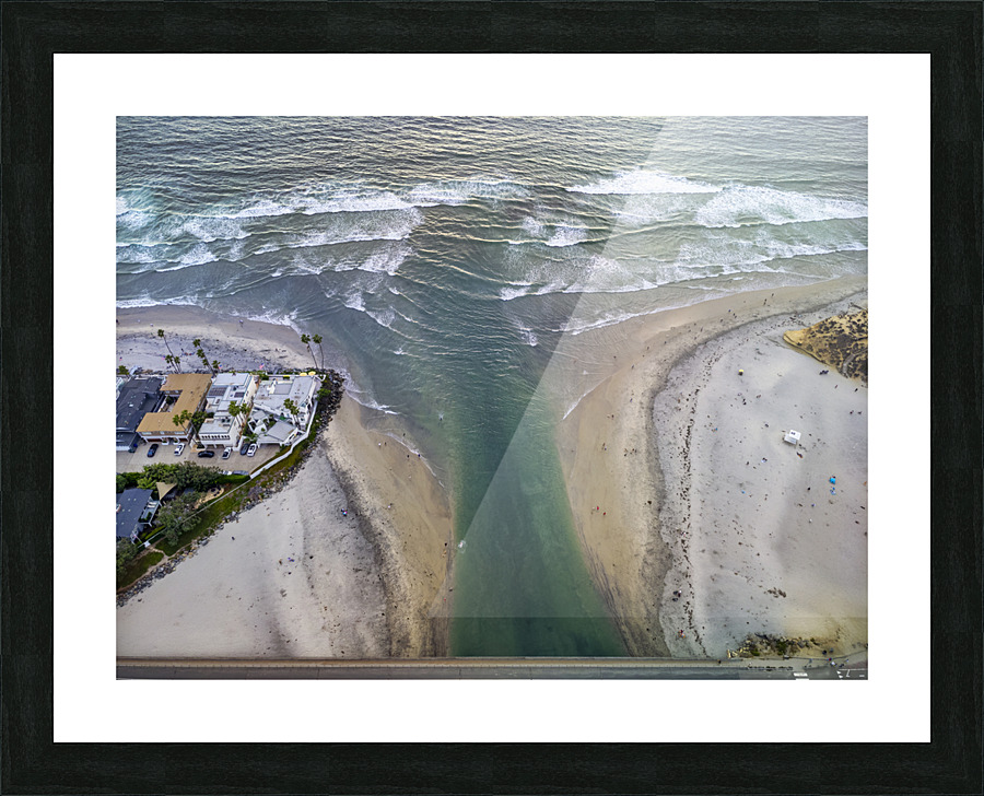 dogs beach Picture Frame print