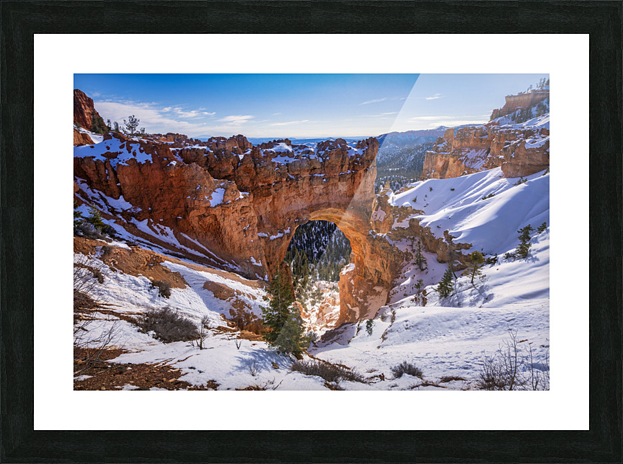 The Bridge in Bryce Picture Frame print