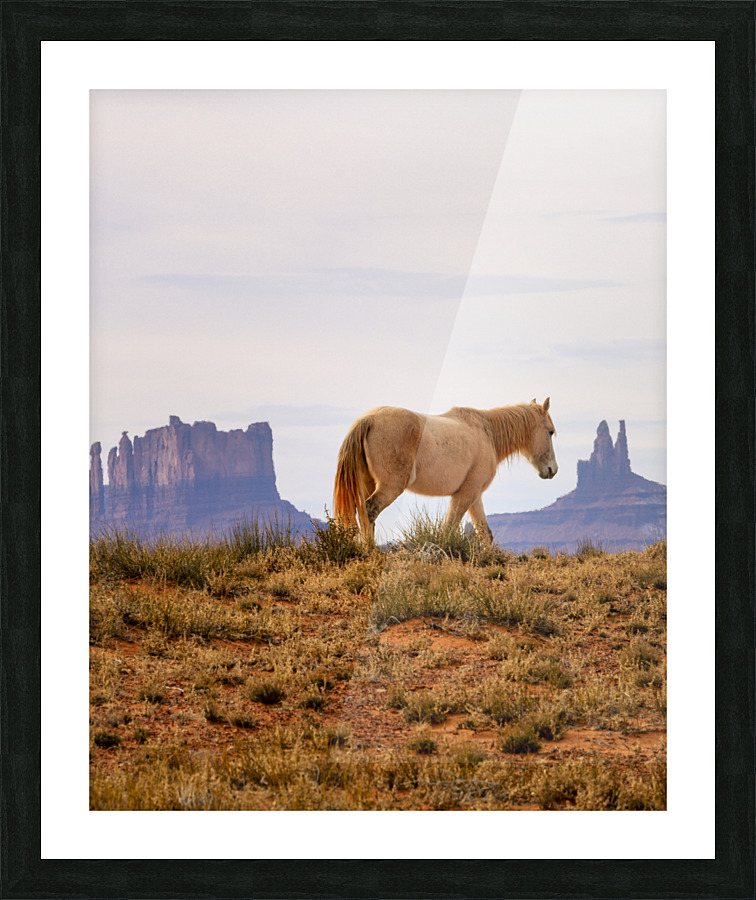 At monument valley Picture Frame print