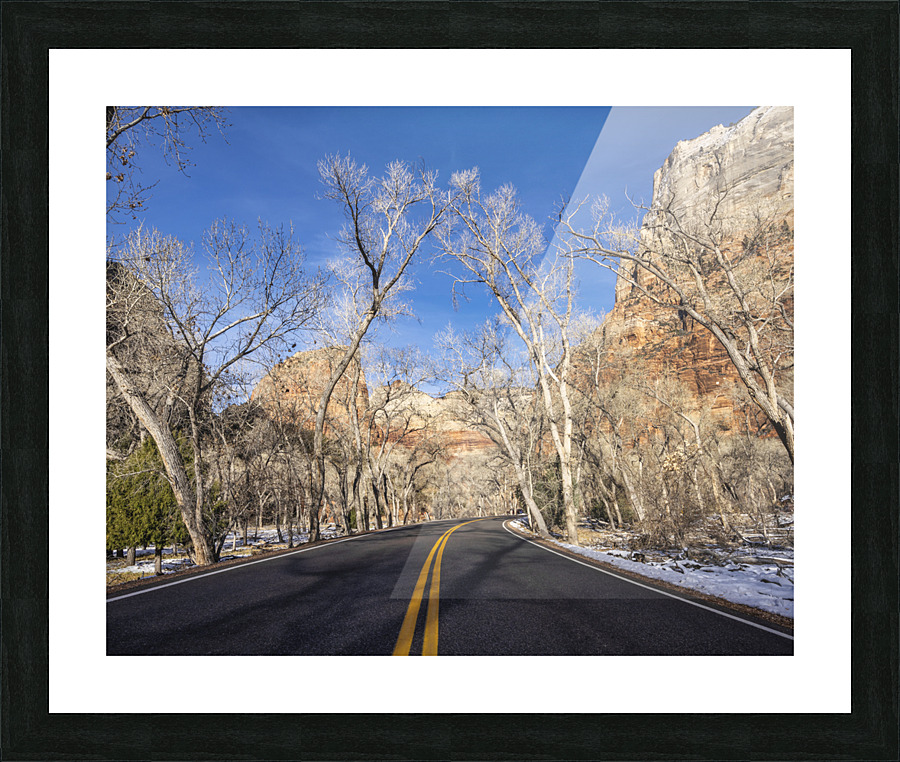 Road in Zion Picture Frame print
