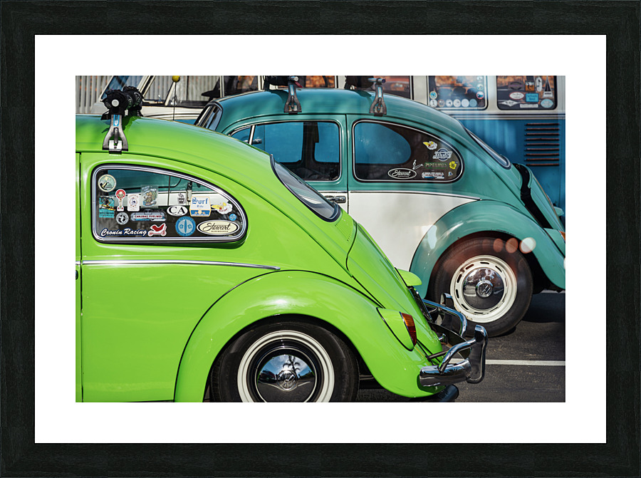 Old beetles Picture Frame print