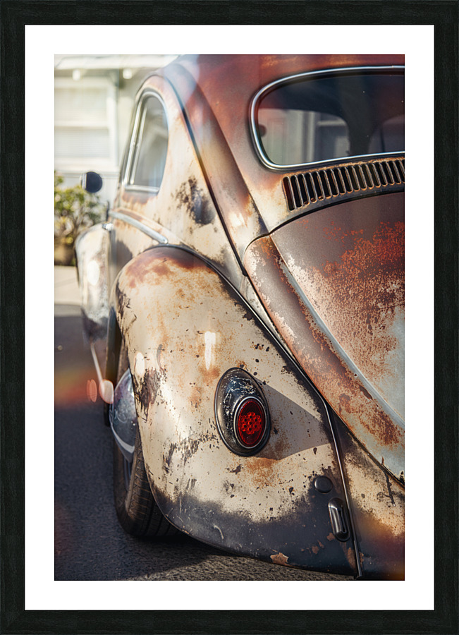rusty bug Picture Frame print