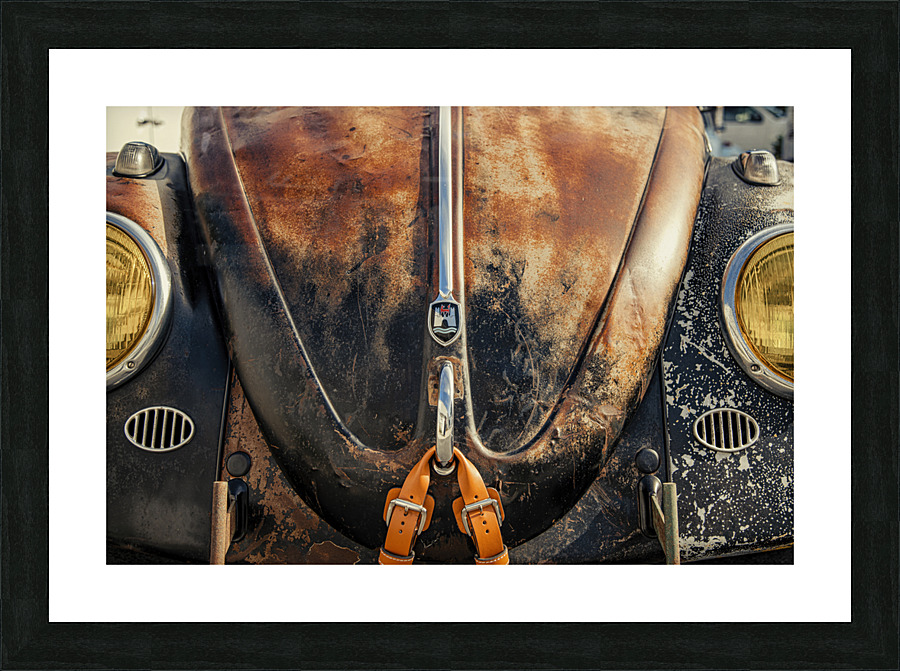 Rusty bug Picture Frame print